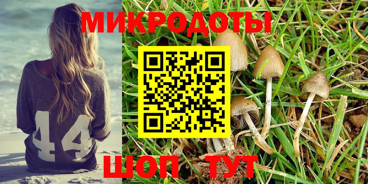Железноводск  Псилоцибиновые грибы мухоморы  Вход с VPN  Псилоцибиновые грибы GOLDEN TEACHER 